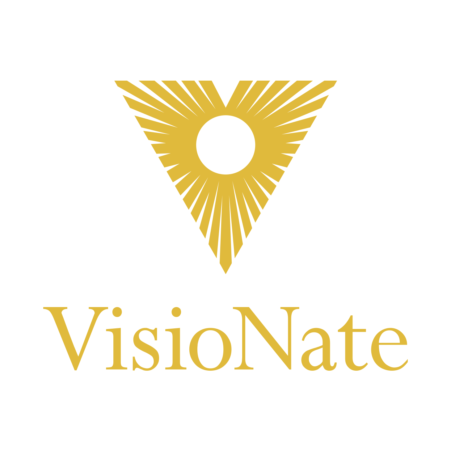 株式会社VisioNate1