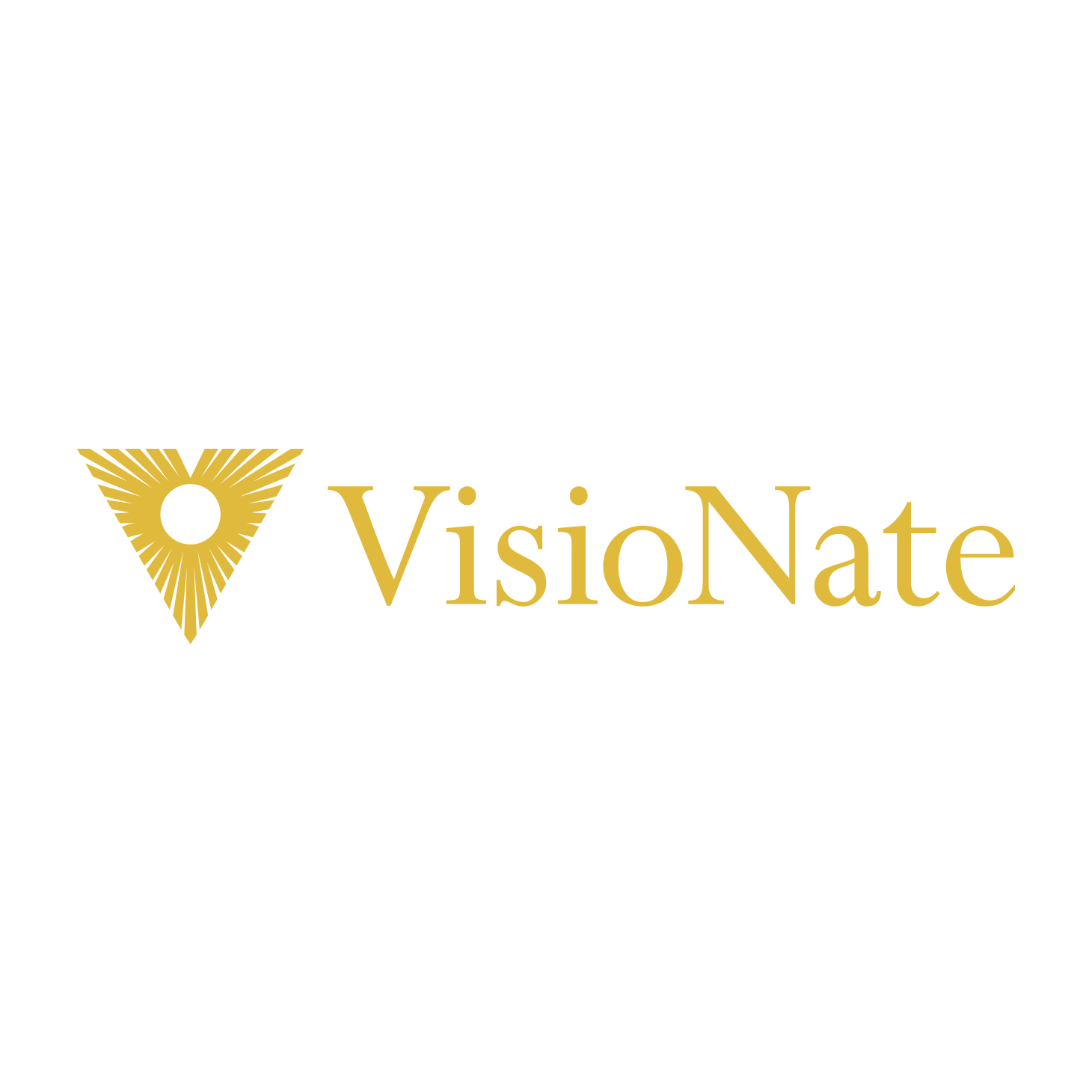 株式会社VisioNate2